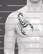 Scorpion heart tattoo shown on men’s side chest placement, using a compact vertical shape with raised tail and bold claw detail