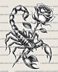  Scorpion rose tattoo stencil design with raised tail, sharp claws, shaded rose bloom, dark leaves, and blackwork floral detail