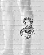 Scorpion skull tattoo displayed on calf placement, with curved tail, segmented body, and clean dark stencil detail. 