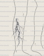 Shaded lightning tattoo stencil shown on lower leg placement, with natural strike lines and printable vertical shape.