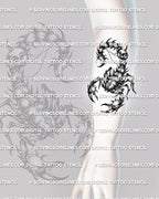 Skull scorpion tattoo shown on forearm placement, with curled tail detail, sharp claws, and readable gothic stencil shape.
