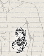 Skull scorpion tattoo shown on mens ribs placement, with curled tail, bone-like legs, and strong gothic scorpion shape.