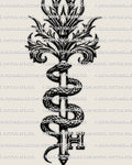 Snake key tattoo stencil design, gothic serpent coiled around a relic key, clean linework for printing and transfer.
