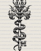 Snake key tattoo stencil design, gothic serpent coiled around a relic key, clean linework for printing and transfer.