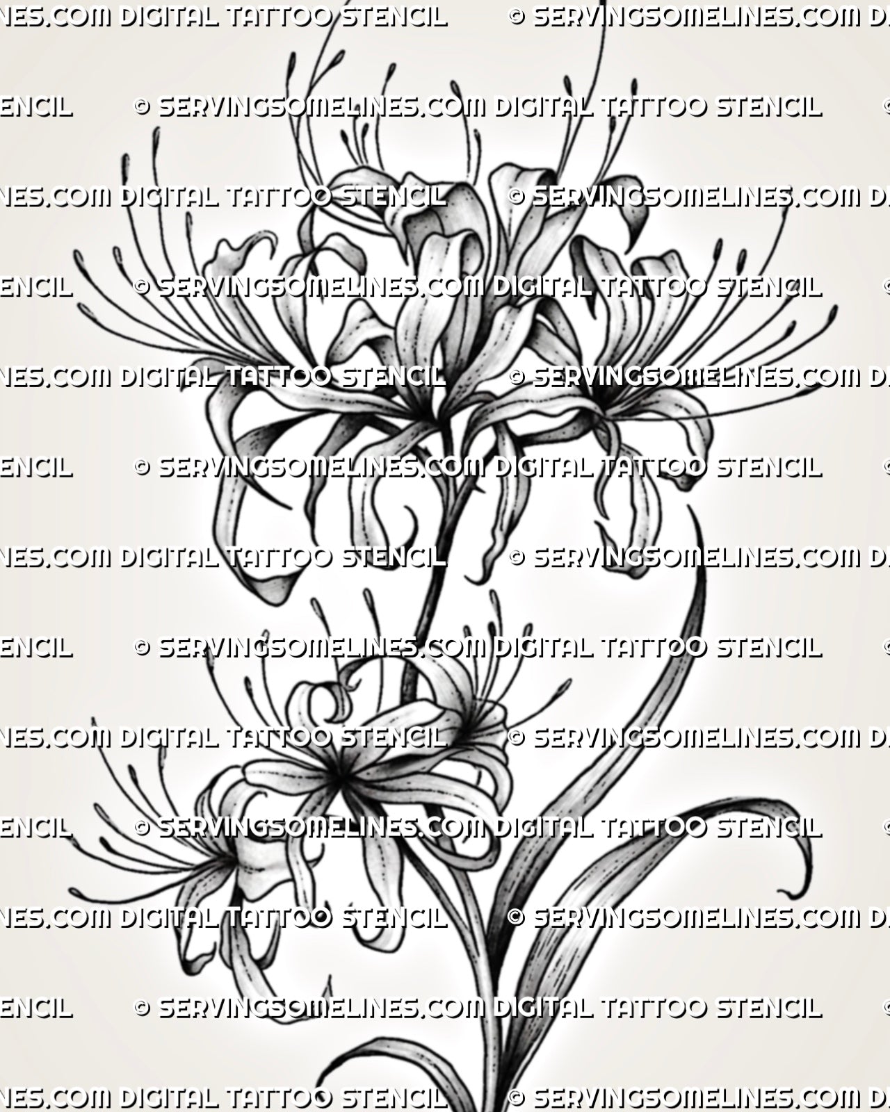 Close view of spider lily tattoo stencil showing curved stamens, petal texture, soft shading, and black floral linework