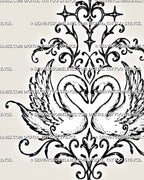 Close-up of two swans forming a heart tattoo design showing curved necks, layered feathers, fine stippling, pointed stars, and filigree scroll details