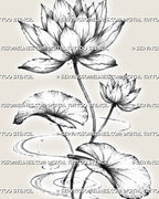 Close detail of water lily flower tattoo stencil showing layered pointed petals, stippled shading, leaf veins, stems, and circular water ripples