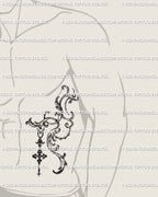 Displayed on a man’s side ribs and stomach area, this digital baroque tattoo stencil features detailed gothic filigree linework. 