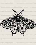Black and white moth tattoo stencil with tiger moth stripe wing pattern, printable digital download.