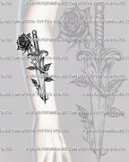 Dagger with black rose tattoo stencil shown on forearm placement example, simple blade, dark rose focal point, instant download 