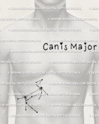 Canis Major tattoo stencil displayed on men’s side stomach placement, minimalist constellation stars with Sirius point, printable download files.