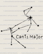 Canis Major tattoo stencil download, Canis Major constellation star layout with Sirius anchor point, instant PNG JPEG PDF files.