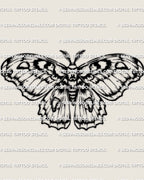 Black and white cecropia moth stencil download with clear wing band rhythm, clean outline for tattoo transfer, printable files