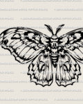 Cecropia moth tattoo stencil design with bold banded wings and thick body silhouette, digital stencil download