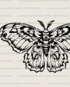 Cecropia moth tattoo stencil design with bold banded wings and thick body silhouette, digital stencil download