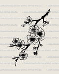 Cherry blossom tattoo stencil, sakura branch with clustered blossoms and clean branch linework, digital download.