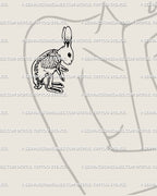 Creepy cute bunny bones tattoo displayed on woman’s arm, small fineline gothic rabbit digital stencil flash. 