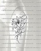 Cybersigilism lily tattoo stencil shown on thigh placement with sharp cyber sigil framing and readable flower detail 
