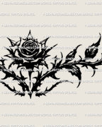 Close detail of dark rose chest tattoo showing the centered bloom and pointed outer floral spread