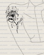 Dark lily stencil, shown on womens arm placement example, spider lily tattoo stencil in black linework, curled petals and clean stem