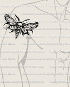 Death head moth tattoo stencil shown on mens arm placement, death skull moth look, strong blackwork wings, stencil ready