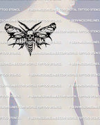 Death head moth tattoo stencil shown on mens upper back placement, big bold wing span, high resolution print files
