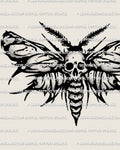 Death head moth tattoo stencil download, skull marking moth wings, high resolution PNG JPG PDF files