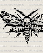 Death head moth tattoo stencil download, skull marking moth wings, high resolution PNG JPG PDF files