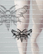 Death head moth tattoo stencil shown on under knee placement, bold skull thorax, blackwork wings, printable files