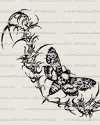 Main design view of a death moth waist tattoo stencil, with a skull-faced moth, spread wings, and pointed side framing.
