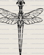 Dragonfly dagger tattoo stencil design, dragonfly perched at the hilt, long body and wide wings, clean PNG and printable PDF download