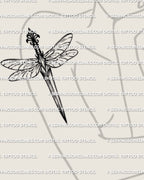 Dragonfly dagger tattoo on women’s arm placement example, slim dragonfly wings, sharp dagger spine, stencil download PNG JPEG PDF