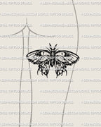 Emperor moth tattoo stencil on back of thigh placement, bold eye spot wings with a clean moth silhouette.
