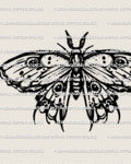 Emperor moth tattoo stencil with bold eye spot wings, clean black line design, instant PNG JPG PDF download.
