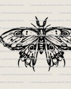 Emperor moth tattoo stencil with bold eye spot wings, clean black line design, instant PNG JPG PDF download.