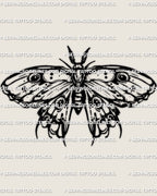Eye spot moth tattoo stencil download, emperor moth wing pattern with clear outline, printable stencil files included.