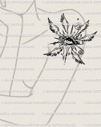 feathered eye symbol tattoo transfer displayed on female arm where the slim wings follow the natural shape of shoulder