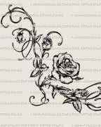 Main design view of a rose vine waist tattoo stencil, showing the main bloom, buds, and flowing vine linework.