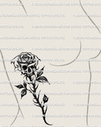 Gothic back and rib style skull rose tattoo stencil displayed on a woman’s side ribs, bold blackwork floral skull made for clear professional stencil transfer