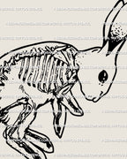 Detailed gothic bunny skeleton tattoo design, creepy cute rabbit bones digital tattoo stencil download.