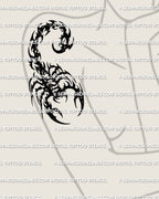 Graphic scorpion tattoo shown on women’s arm placement with neotribal curves, pointed edges, and clean black stencil flow