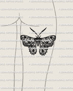 Lace moth tattoo stencil on back of thigh placement, decorative moth wings with lace pattern fill, digital download for stencil printing.