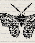 Lace moth tattoo stencil download, ornamental moth with patterned lace wing fill, clean silhouette for stencil printing, PNG JPG PDF files.