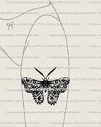 Ornamental lace moth tattoo stencil on feminine thigh placement, wide wing moth design with patterned wing fill, printable stencil download.