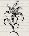 Leopard print lily tattoo stencil design, lily bloom outline with leopard rosette fill inside petals, instant download PNG JPEG PDF for stencil printing.