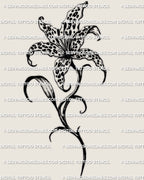 Lily bloom tattoo stencil with leopard print petal fill, clean floral outline made as an instant download stencil file, PNG JPEG PDF included.