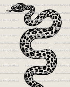 Leopard print snake tattoo stencil download, long coiled snake with rosette spots, clean PNG stencil file for printing.
