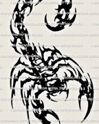 Close view of neotribal scorpion tattoo detail with carved gaps, sharp claw shapes, curled tail, and crisp black contrast