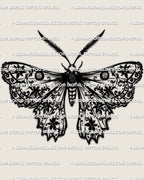 Ornamental moth tattoo stencil with lace wing pattern fill, black and white moth design for tattooers, instant digital stencil files.