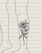 Peony tattoo stencil displayed on calf placement example, tall stem flow, layered bloom, printable stencil file.
